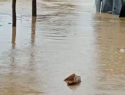 Sukabumi Dilanda Banjir, Bukit Gundul Jadi Penyebab