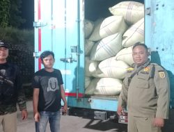 Gubernur Perintahkan Stop! Truk Bermuatan Gabah Tujuan Luar Lampung Dihentikan di Bakauheni