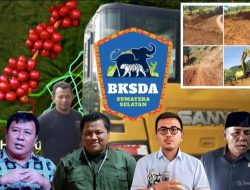 Hutan Lindung Dirusak, Dewan Lambar Bakal di Laporkan ke Kementerian