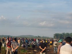 Perjuangan Hak Adat,Warga Anak Tuha Bangun Tenda dan Bertani di Lahan PT BSA