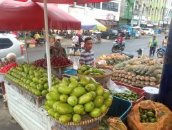 Pedagang Buah Lampung Sukses Kembangkan Usaha Berkat KUR BRI