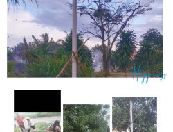 Warga Penagan Ratu Gotong Royong Buat 11 Tiang Listrik dari Pipa Paralon, Belum Ada Respons dari PLN