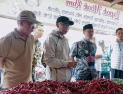 Jelang Nataru 2026, Pemprov Lampung Pastikan Harga dan Stok Pangan Aman
