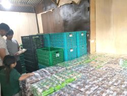 Didukung BRI Kanca Pringsewu, JF Cookies Berkembang dari Usaha Rumahan hingga Serap Puluhan Tenaga Kerja