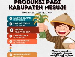 Padi Mesuji Untuk Siapa