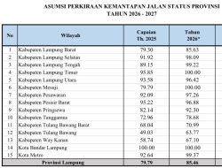 Dari Desa ke Kota, Jalan Provinsi di Kabupaten Dongkrak Konektivitas Lampung
