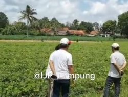 Berpraktek Hilirisasi di Lampung Menuju Industri Manufaktur