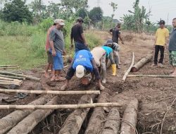 Warga Bangun Jembatan Darurat dari Batang Kelapa, Akses Perbatasan Bandar Lampung–Lamsel 