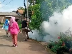 Puskesmas Pinang Jaya Gencarkan PSN dan Fogging Fokus Cegah Penyebaran DBD