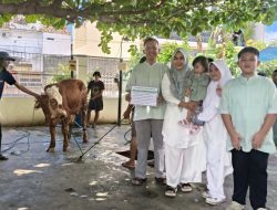 Semangat Berbagi Iduladha 1447 H, Masjid Al Iman Rajabasa Sukses Laksanakan Qurban