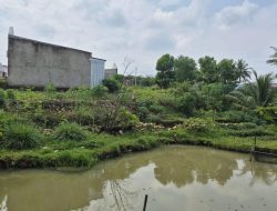 DPP Pematank Desak Dinas PU Lamsel Evaluasi dan Cabut Izin Developer Melana