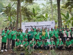 KTH Rangai Sejahtera dan PLN Nusantara Power UP Tarahan Tanam 1.800 Pohon Peringati Hari Lingkungan Hidup Sedunia 2026