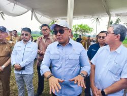 Lampung Jadi Daerah Pertama Pengembangan Bioetanol, Serap Ribuan Hektare Lahan Sorgum