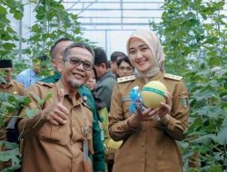 Wagub Jihan Panen Raya Melon di SPP Natar, Siapkan Generasi Tani Berbasis Teknologi