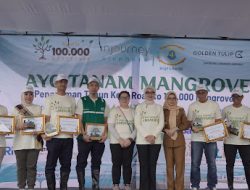 PLN Nusantara Power UP Tarahan Perkuat Komitmen Hijau melalui Road to 100,000 Mangroves